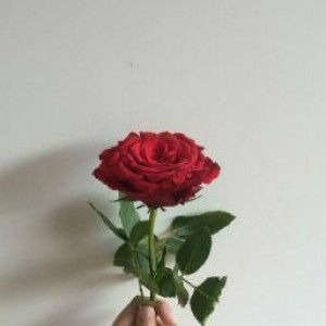 Julianna profile icon