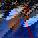 Robby K. Afandi profile icon