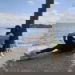 Lapis Wuethrich profile icon