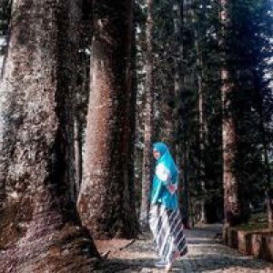 Fitriya profile icon