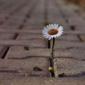 คุณ จิรัชญานันท์ เครป profile icon