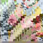 Ahmad Alhy Syam I/Fikriani profile icon