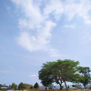 Siti Witiawati profile icon