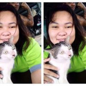 มัทวัน หนูทองแดง profile icon