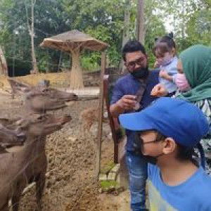 Siti Fikah profile icon