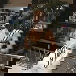 Cha-Aem Chutisa profile icon