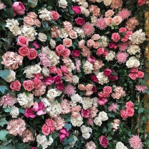 Defin Helda Leliana profile icon