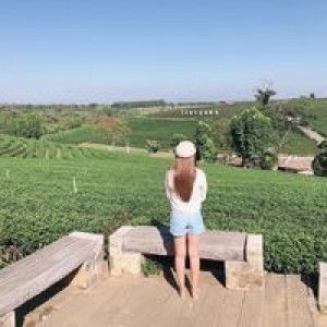 Mydiary Time profile icon