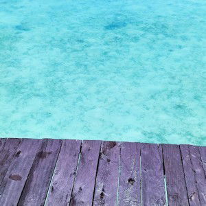 Saliha Ainnaa Abdul Halim profile icon