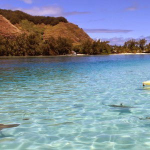 dea rahma profile icon