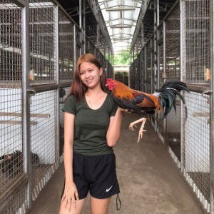 Kyle Estepa profile icon