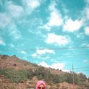 Elma Sehnia profile icon