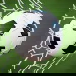 เรื่องของบอล profile icon