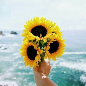 Resti L Asti profile icon