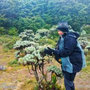 Sukasih profile icon