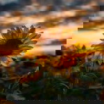 Rusniia Putrie profile icon