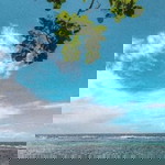 yupules profile icon