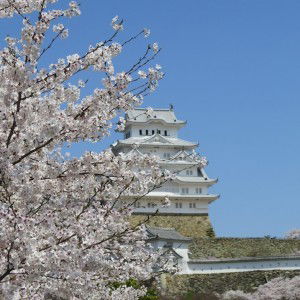 INTOO-ON J. profile icon