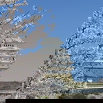 INTOO-ON J. profile icon