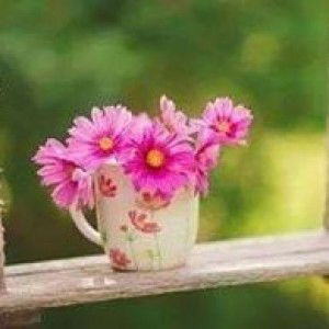 Poppy Sofia profile icon