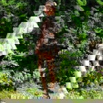 เฌอลิลลภัสร์ ณภัทรธนวงศา profile icon