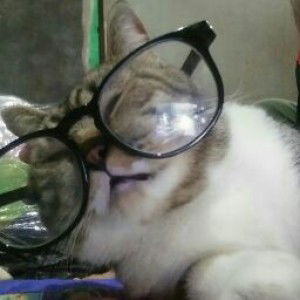 Annisa Damayanti profile icon