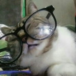 Annisa Damayanti profile icon