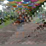 Bing Bautista profile icon