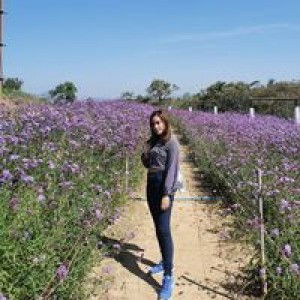 Sukunya Ice profile icon