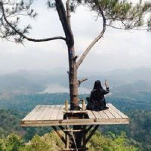 Vera Wahyunie profile icon