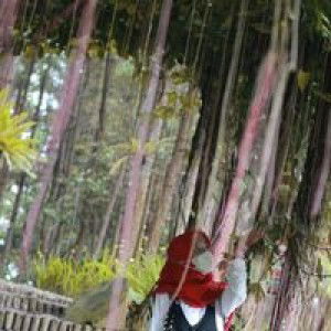 Cahpongo profile icon