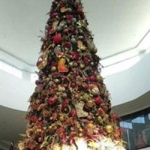 Shiena Nunez profile icon