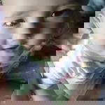 Maymunah profile icon