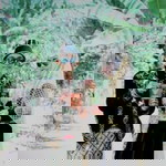 Raden Mas Eko profile icon