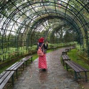 Tanti Indah Wulandari profile icon