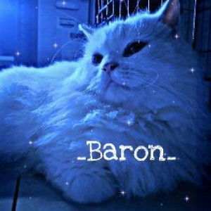 Yulia Damayanti profile icon