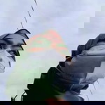 Aminah Henna profile icon