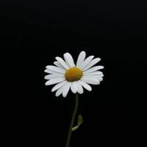 Helni Binti Gilong profile icon