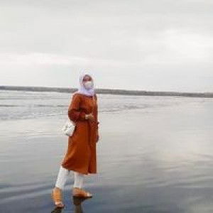 Nani Ahmad profile icon