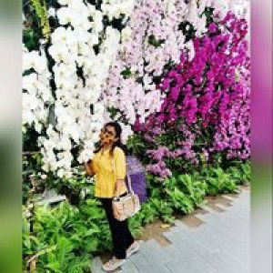 Nimi Raj profile icon