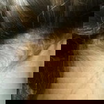 Muhamad Abdul profile icon