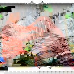 Vhyy Saragiih profile icon