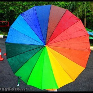 Farah Zohri profile icon