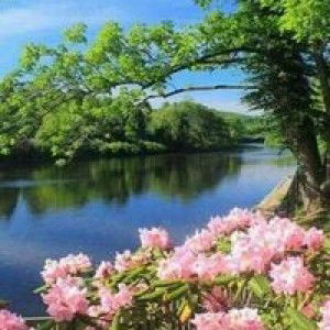 Milmie E profile icon