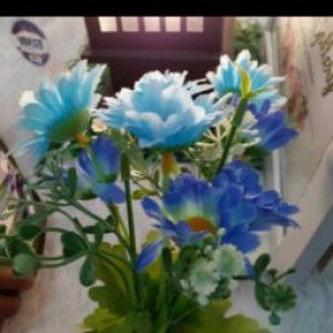 Siti Salamah profile icon