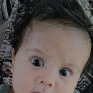Pershe Arroyo profile icon