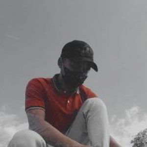 Didut Setiawan profile icon