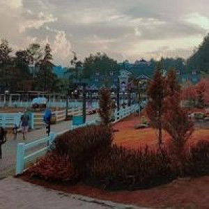 Riva Fitria profile icon