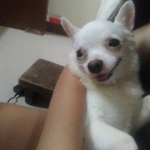 Rizza Panican profile icon