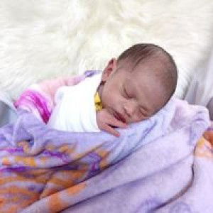 Aih Aih Lucaban profile icon